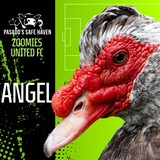 Entry image for Angel