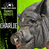 Entry image for Charlie