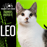 Entry image for Leo