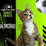 Entry image for Almond