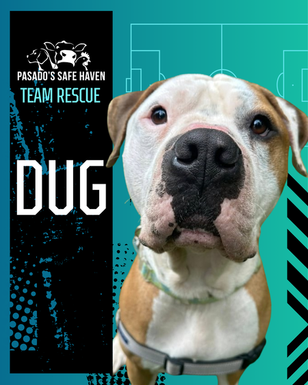 Entry image for Dug. Clicking this image will show a larger photo