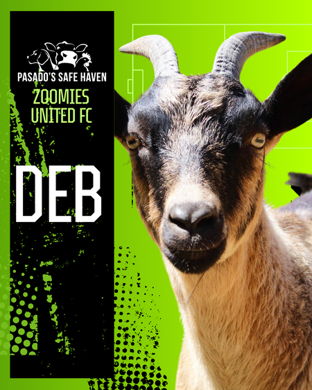 Entry image for Deb. Clicking this image will show a larger photo