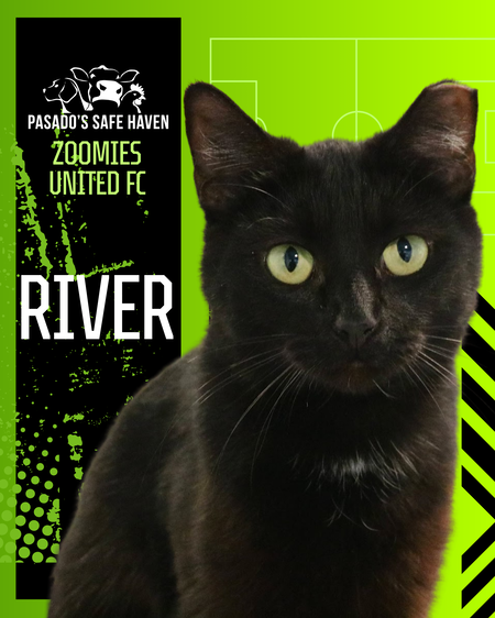 Entry image for River. Clicking this image will show a larger photo