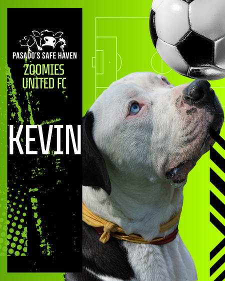 Entry image for Kevin. Clicking this image will show a larger photo