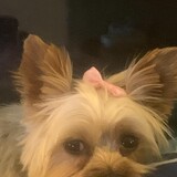 Entry image for Rosie