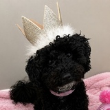 Entry image for Betty