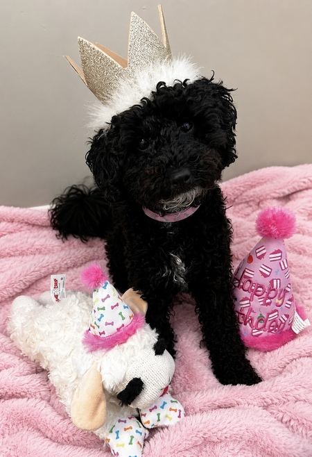 Entry image for Betty. Clicking this image will show a larger photo