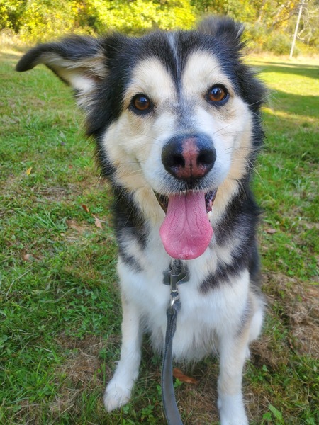 Entry image for Zeus. Clicking this image will show a larger photo