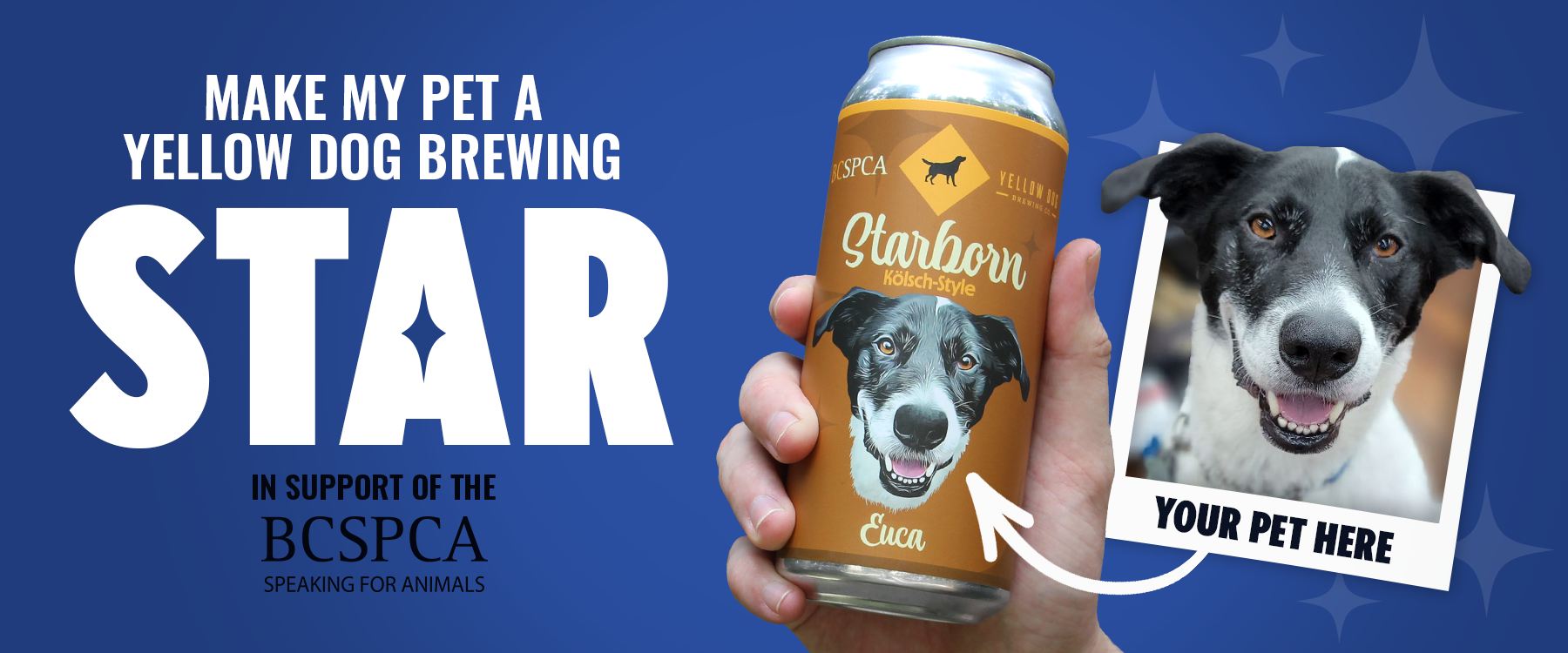 Banner for Make My Pet a Yellow Dog Brewing Star