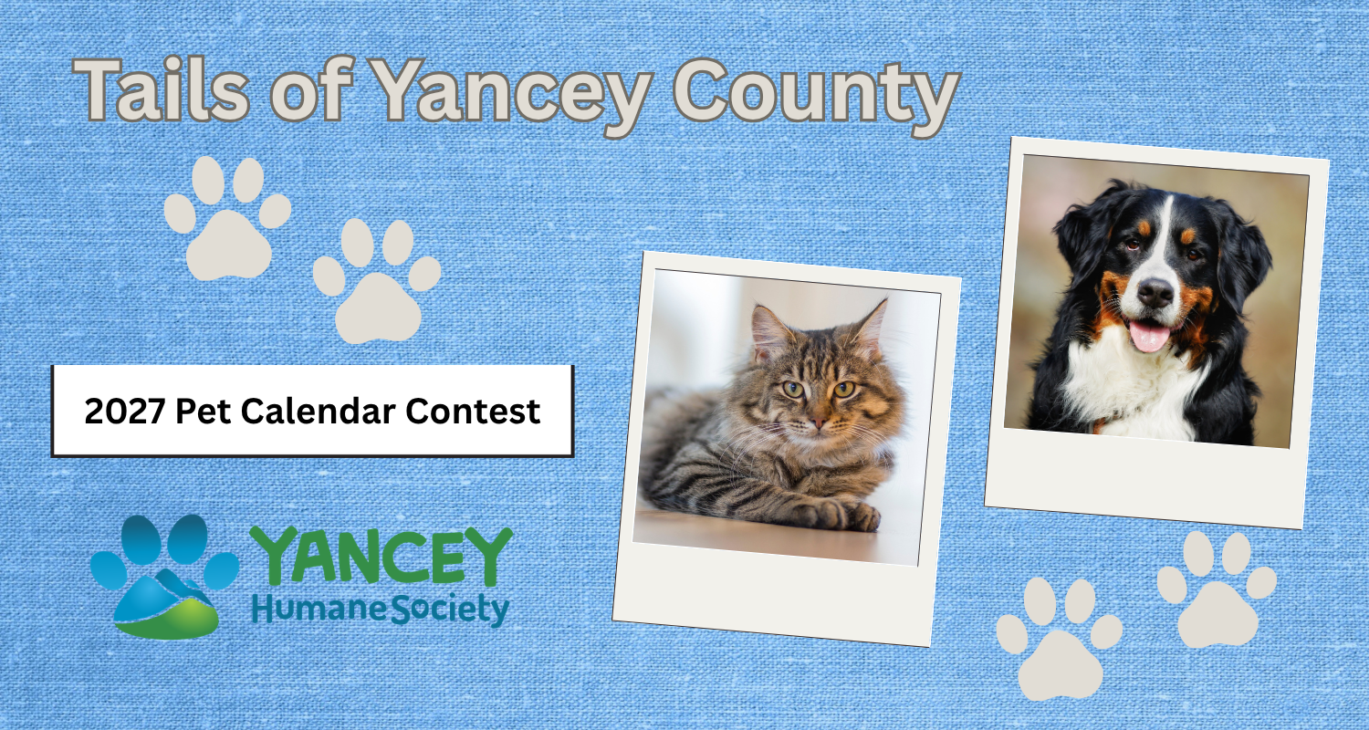 Banner for Yancey Humane Society 2027 Pet Calendar Contest
