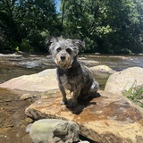 Entry image for Mojo