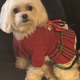 Entry image for Annabelle