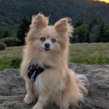 Entry image for Winnie