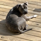 Entry image for Lulu