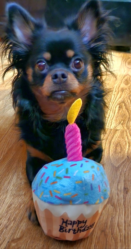 Entry image for Betty. Clicking this image will show a larger photo