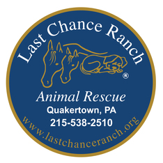 Logo for Last Chance Ranch 2027 Calendar