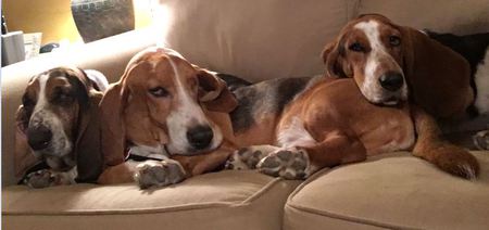 Agnes, Charlie Brown, and Scarlet