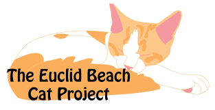 Logo for 2027 Euclid Beach Cat Project Calendar Contest