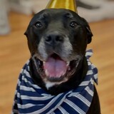 Entry image for Oliver