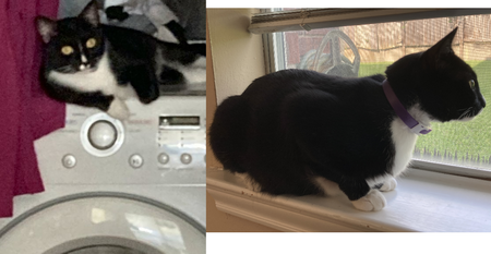 Entry image for Caterina. Clicking this image will show a larger photo