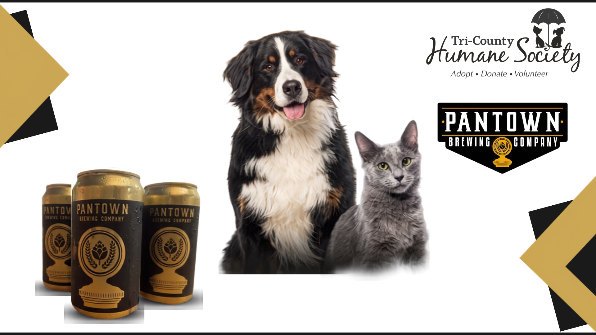 Banner for Paws on Pints