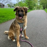 Entry image for Charlie