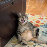 Entry image for Lillian Lou
