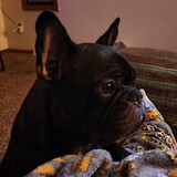Entry image for DEUCE