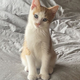 Entry image for Monty (aka Montysaurus Rex)