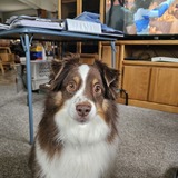 Entry image for Max