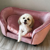 Entry image for Sofie Mae