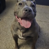 Entry image for Lucy