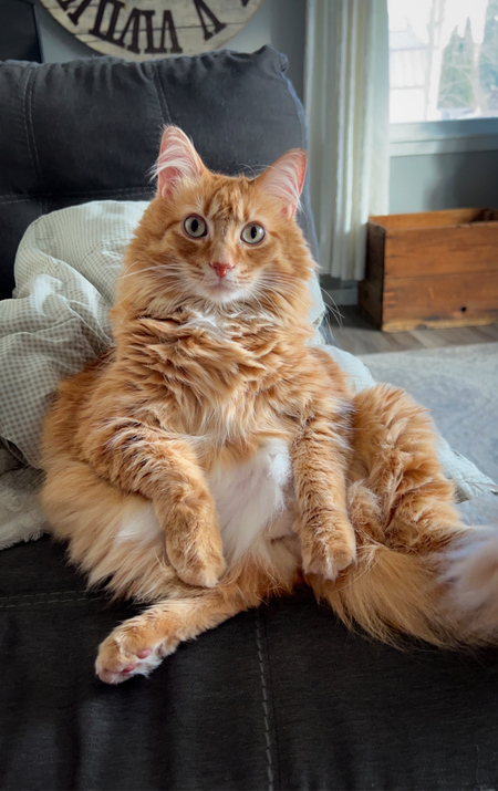 Entry image for Spud. Clicking this image will show a larger photo
