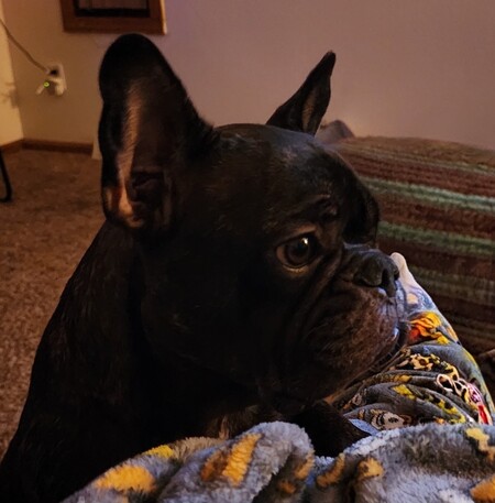 Entry image for DEUCE. Clicking this image will show a larger photo