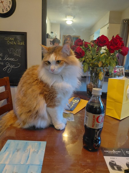Entry image for Cinnamon . Clicking this image will show a larger photo
