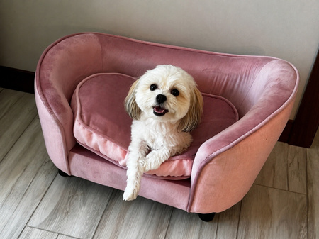 Entry image for Sofie Mae. Clicking this image will show a larger photo