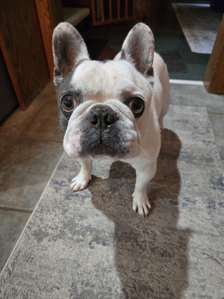 Entry image for Max. Clicking this image will show a larger photo