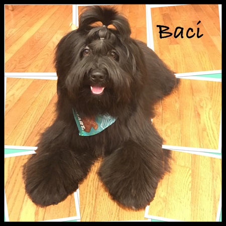 Entry image for Baci. Clicking this image will show a larger photo