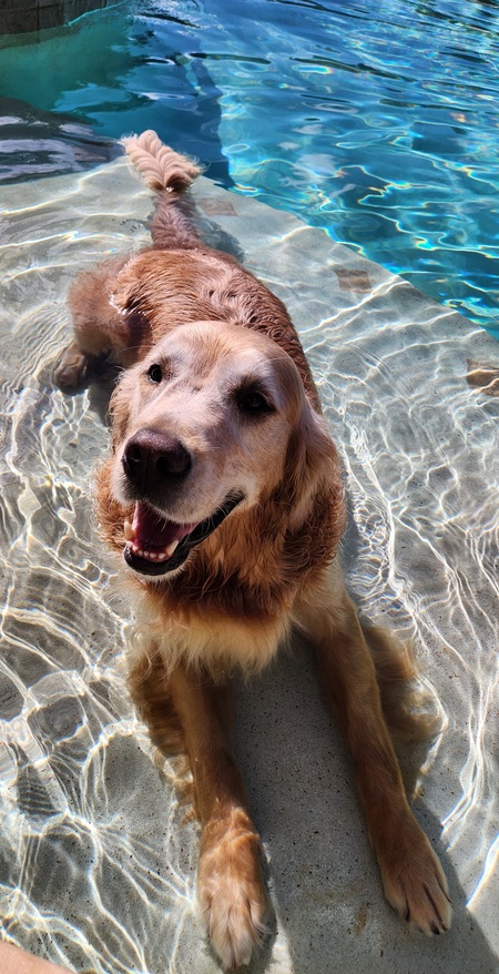 Entry image for Finn. Clicking this image will show a larger photo