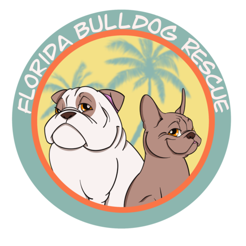 https://www.flbulldogrescue.com/