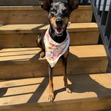 Entry image for Maddie
