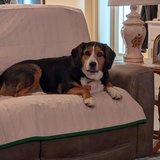 Entry image for Jake