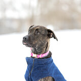 Entry image for Keira