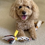 Entry image for Molly