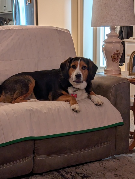 Entry image for Jake. Clicking this image will show a larger photo