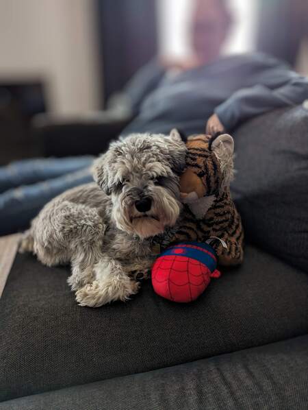 Entry image for Max. Clicking this image will show a larger photo