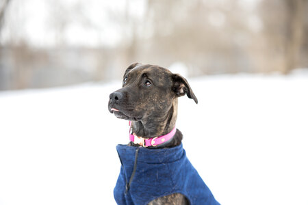Entry image for Keira. Clicking this image will show a larger photo