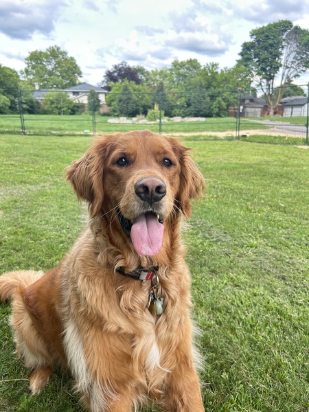 Entry image for Walter. Clicking this image will show a larger photo