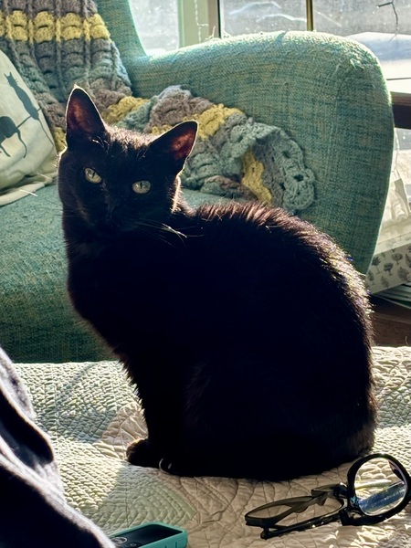 Entry image for Zoe. Clicking this image will show a larger photo