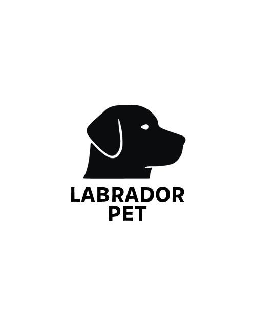 Labrador Pet